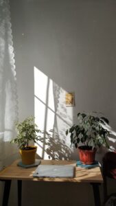 Tips for Creating a Cozy and Inviting Home Office Space